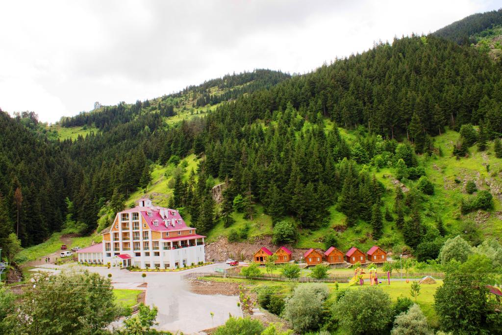 Hotel Green Valley Savsat Exterior photo